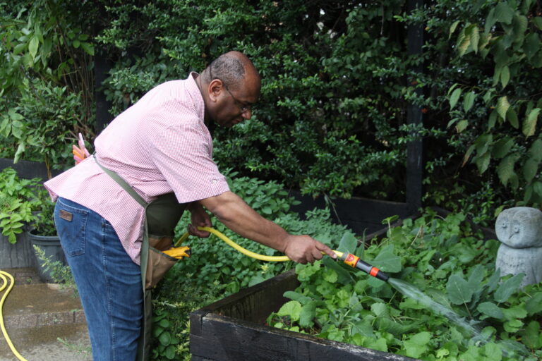 A person waters plants using a hose pipe